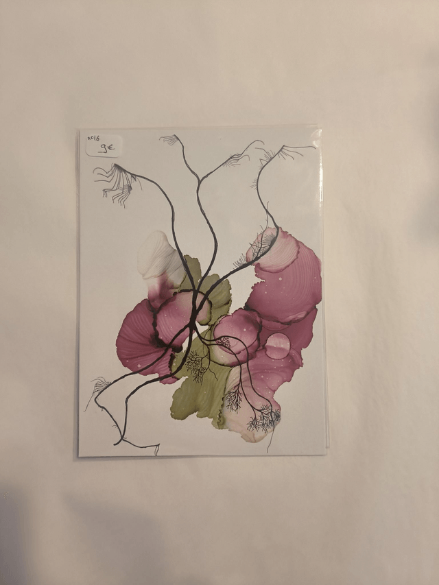 Carte N16