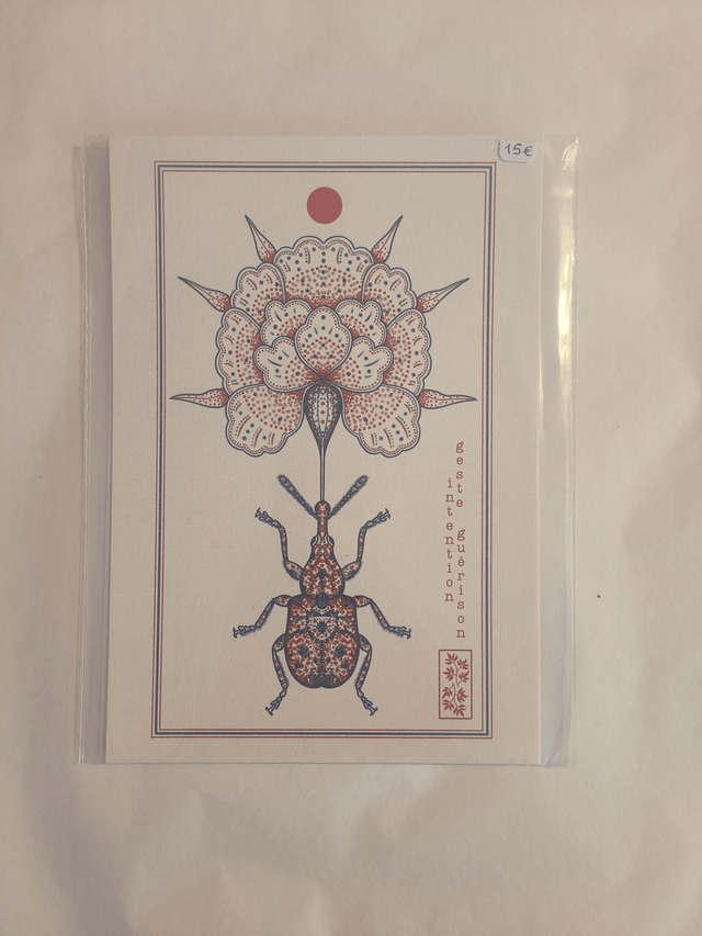 A5 scarabée pivoine