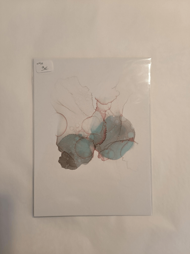 Carte N10