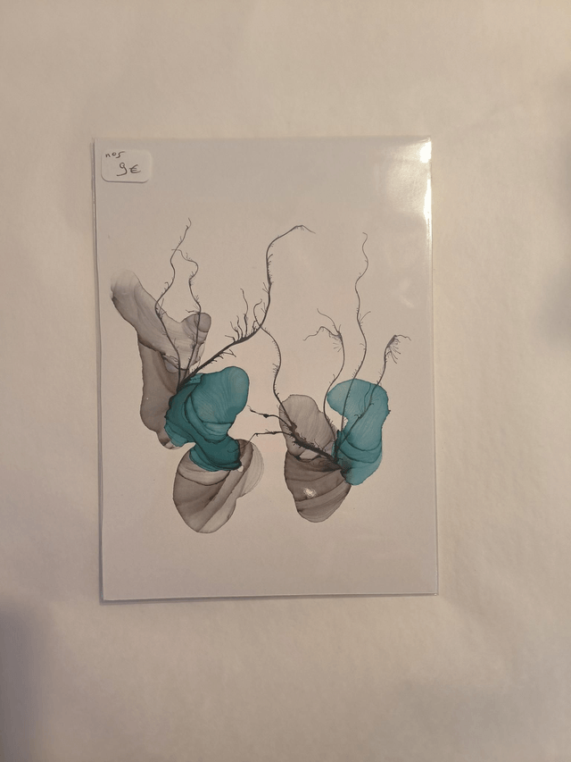 Carte N5