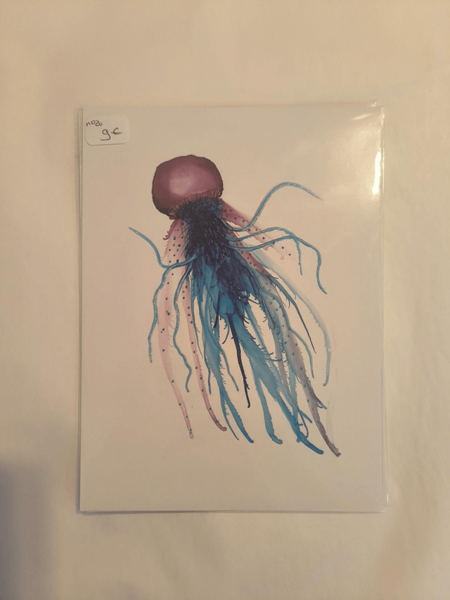Carte N20