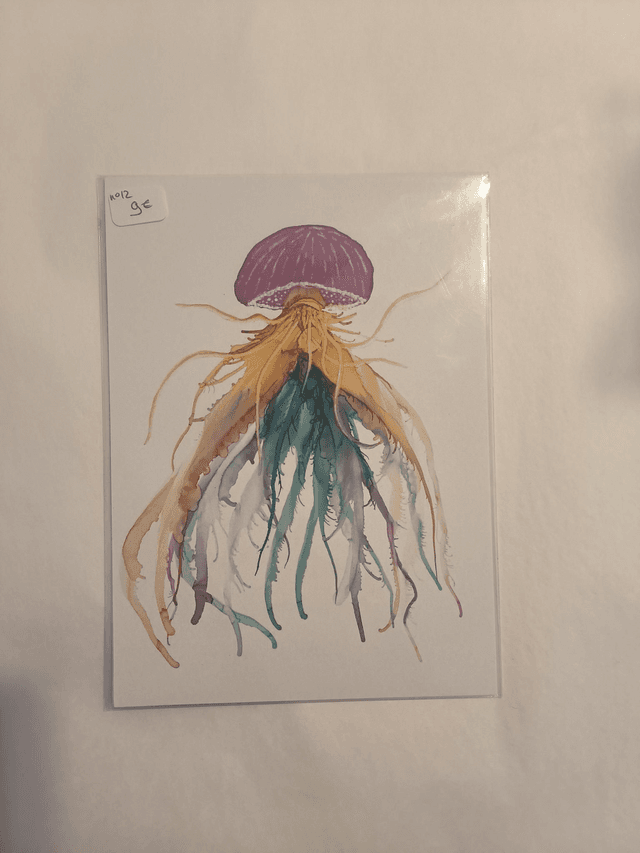 Carte N12
