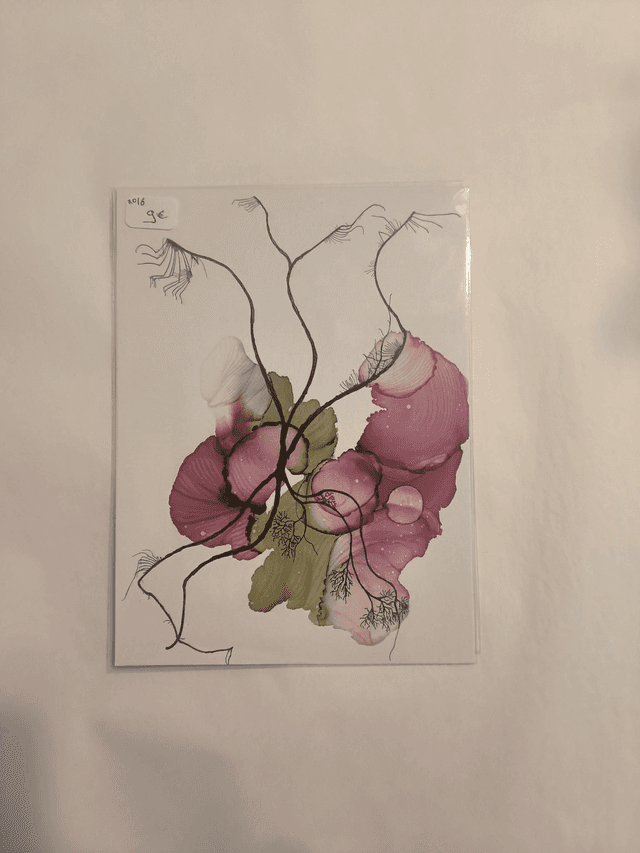 Carte N16