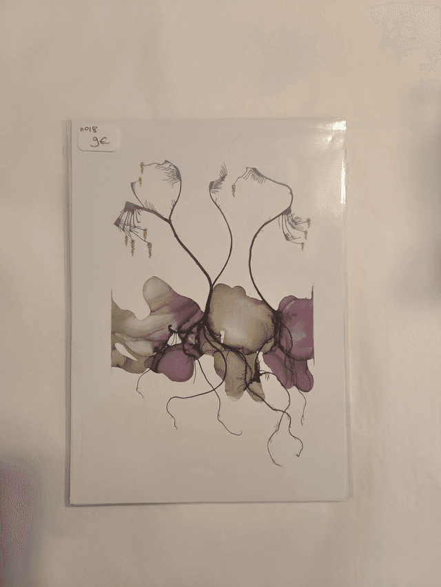 Carte N18