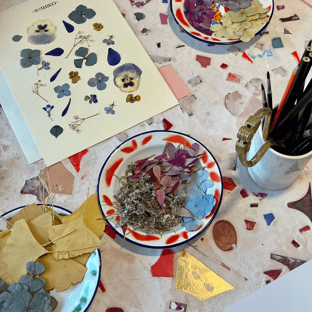04 octobre 11h-13h Événement privé Isabelle - atelier herbier