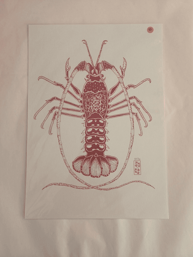 A4 homard rouge