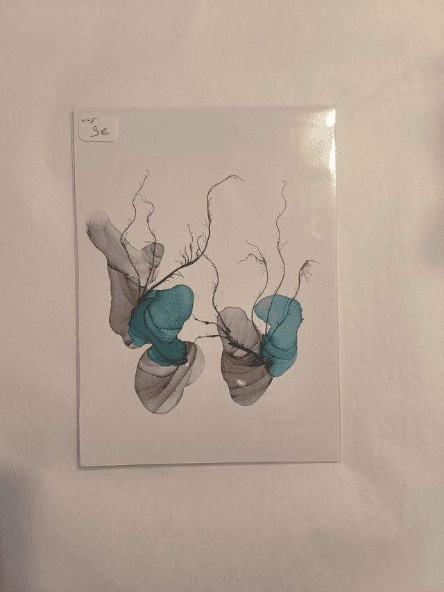 Carte N5