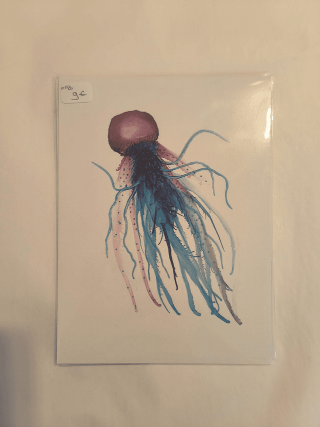 Carte N20