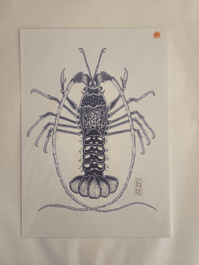 A4 homard bleu