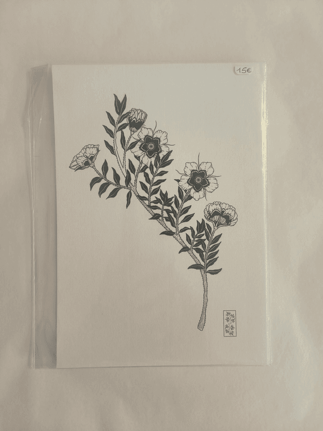 A5 branche rosée 