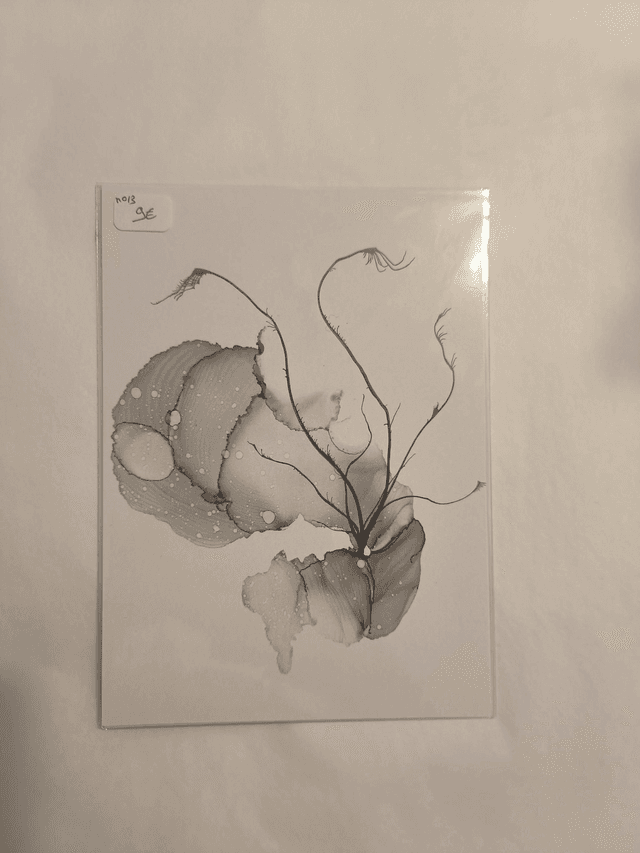 Carte N13